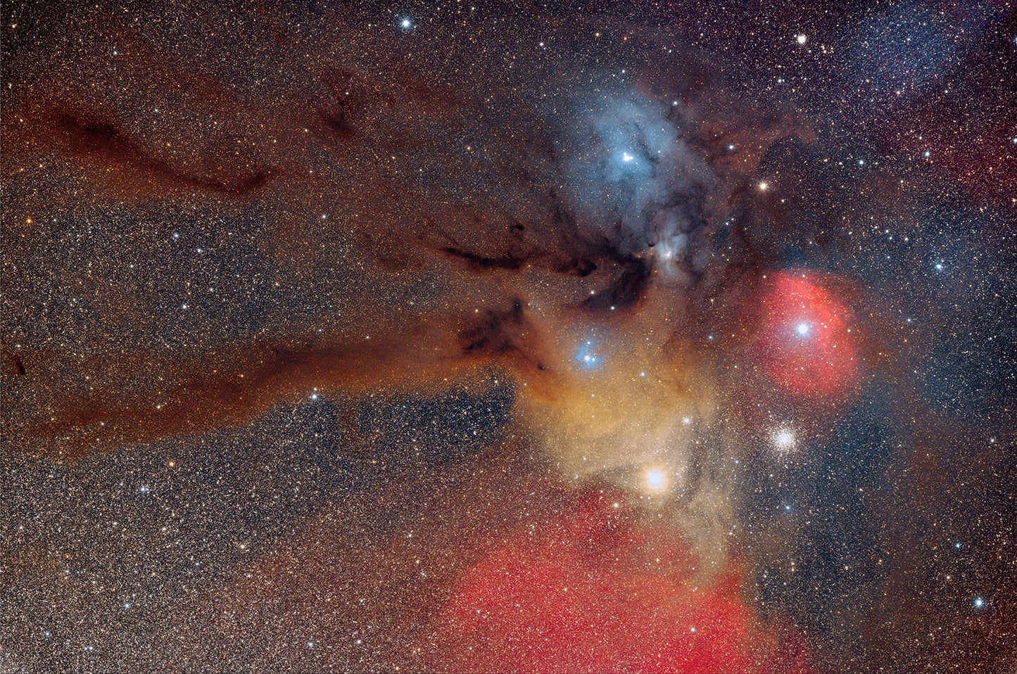 Rho Ophiuchi Complex