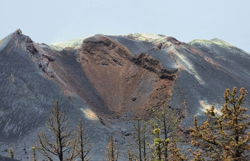 la palma tag 7