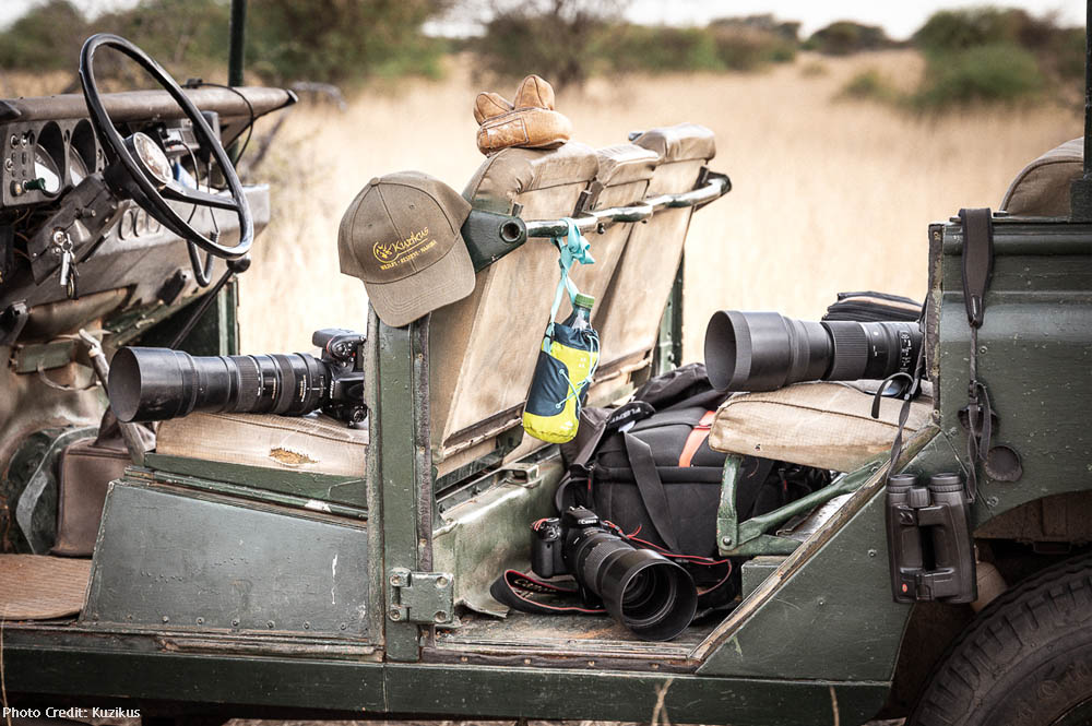 namibia Wildbeobachtung
