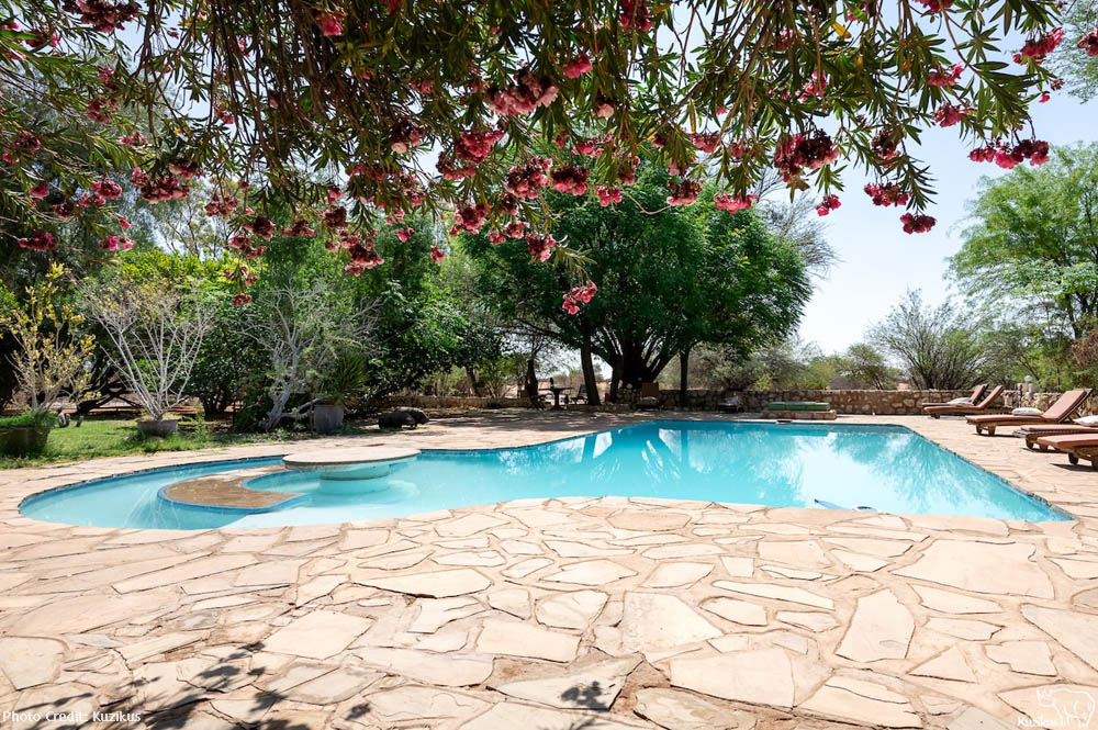 namibia pool